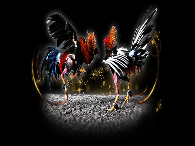 Cách Chơi Đá Gà GA28 Tại S666 Để Tận Hưởng Trận Đấu Kịch Tính 1 Cách Chơi Đá Gà GA28 Tại S666 Để Tận Hưởng Trận Đấu Kịch Tính