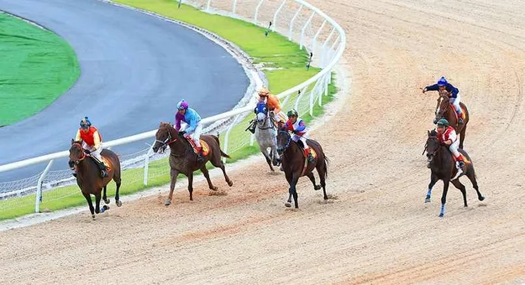 Tìm Hiểu Cá Cược Đua Ngựa S666: Bí Kíp Thắng Lớn Trong Từng Chặng 1 Tìm Hiểu Cá Cược Đua Ngựa S666: Bí Kíp Thắng Lớn Trong Từng Chặng